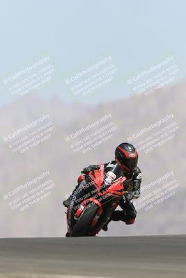 media/May-13-2023-SoCal Trackdays (Sat) [[8a473a8fd1]]/Turn 9 (11am)/